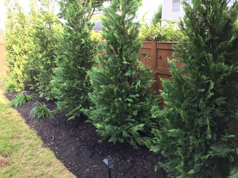 Photo of Lawn King Design & Maintenance