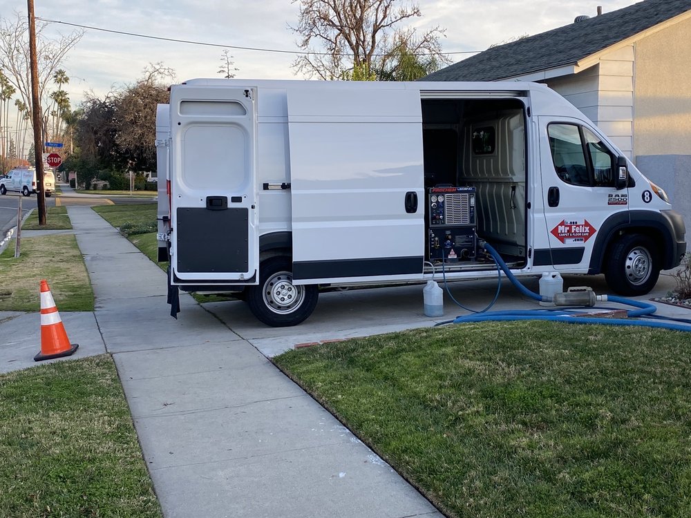 Photo of Mr Felix Carpet Care