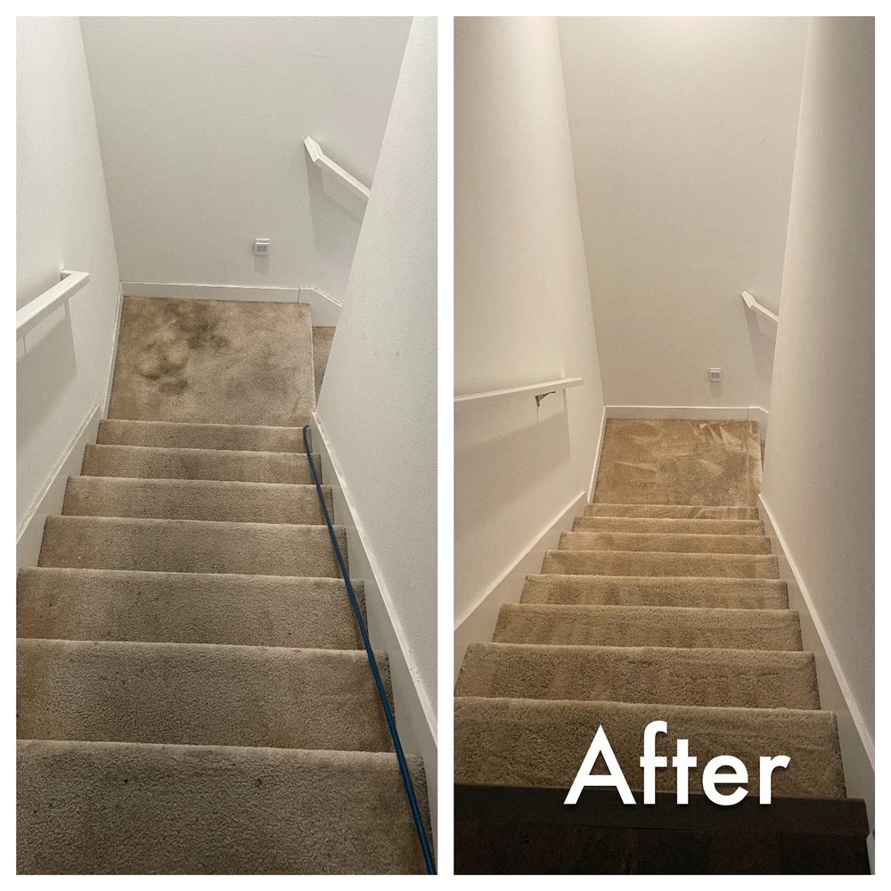 Photo of Mr Felix Carpet Care