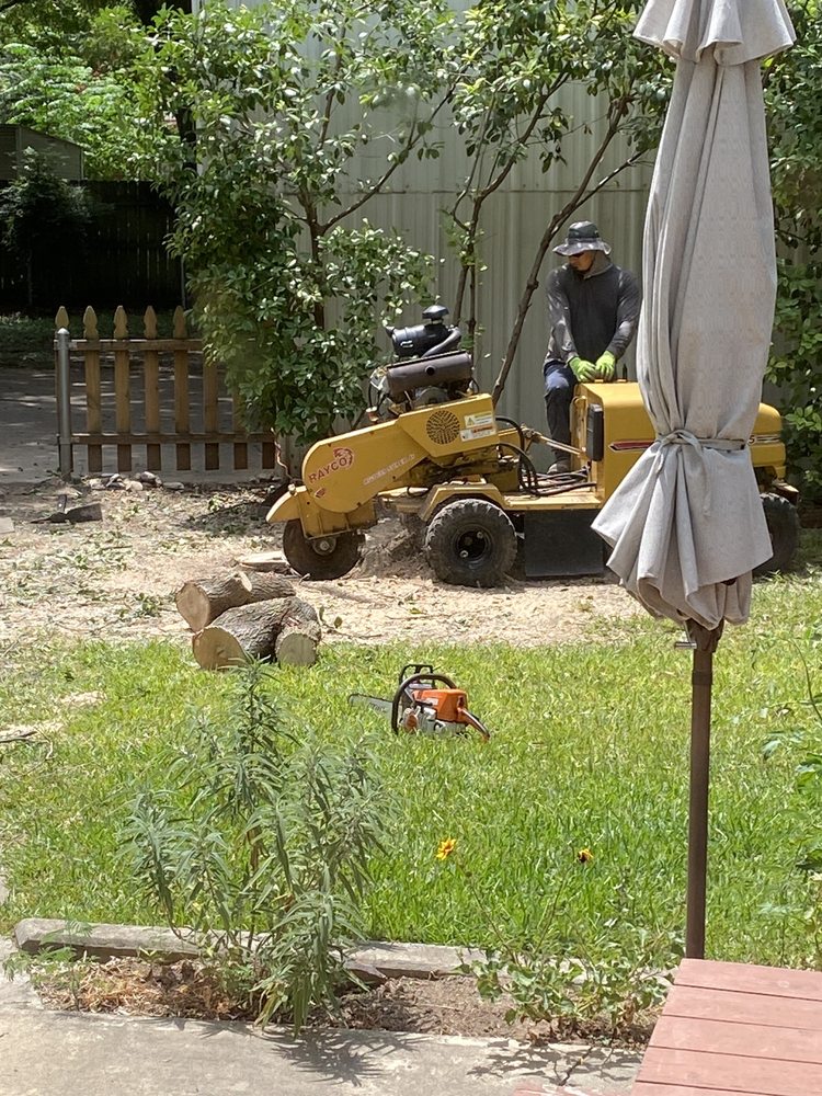 Photo of L & T Landscaping