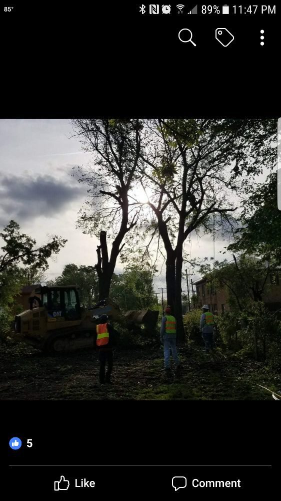 Photo of L & T Landscaping