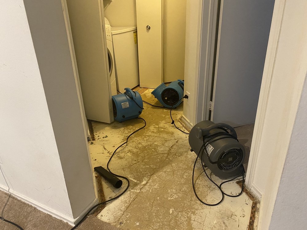 Photo of EnviroCare Water Damage Experts