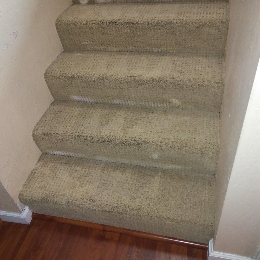 Photo of Allo Boris Carpet Cleaning
