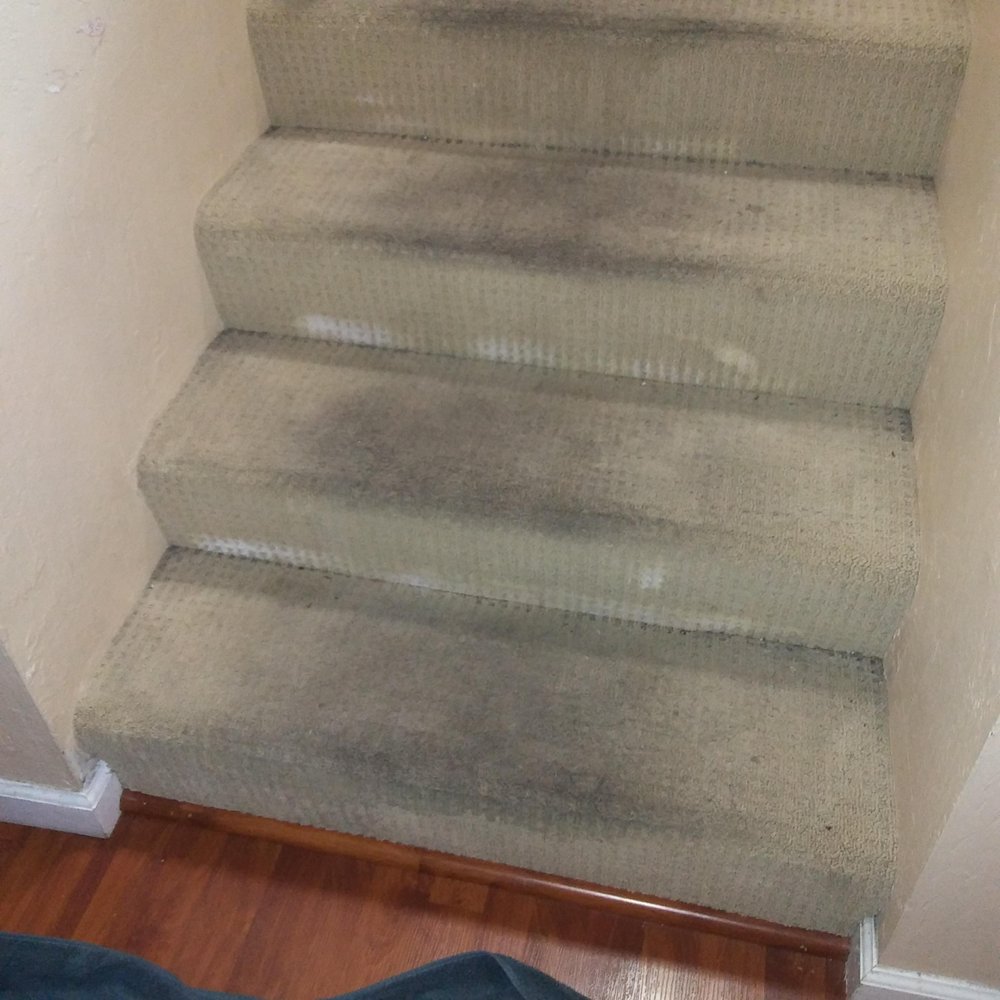 Photo of Allo Boris Carpet Cleaning