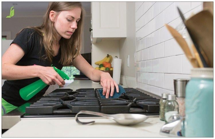 Photo of Green Maid Services