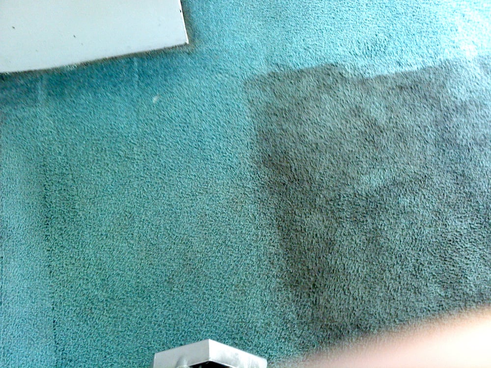 Photo of AAA Carpet & Upholstery Cleaners