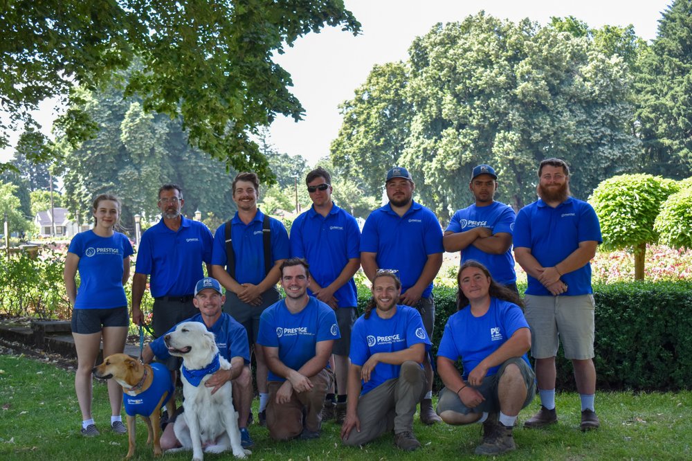 Photo of Prestige Landscape & Tree Service