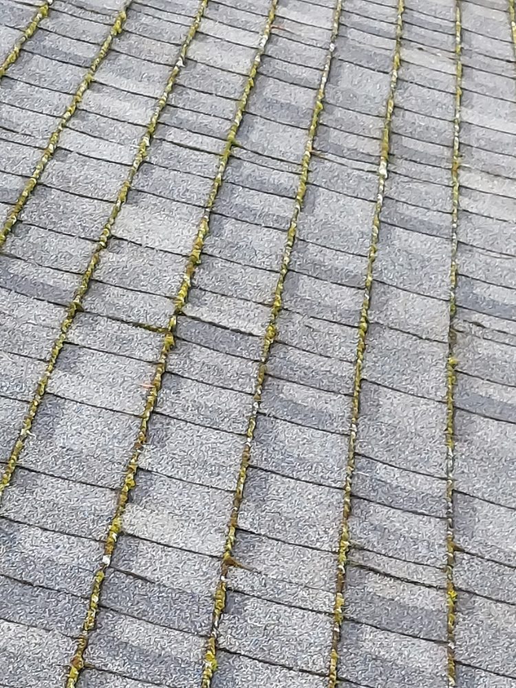Photo of E & W Pressure Washing And Painting Services