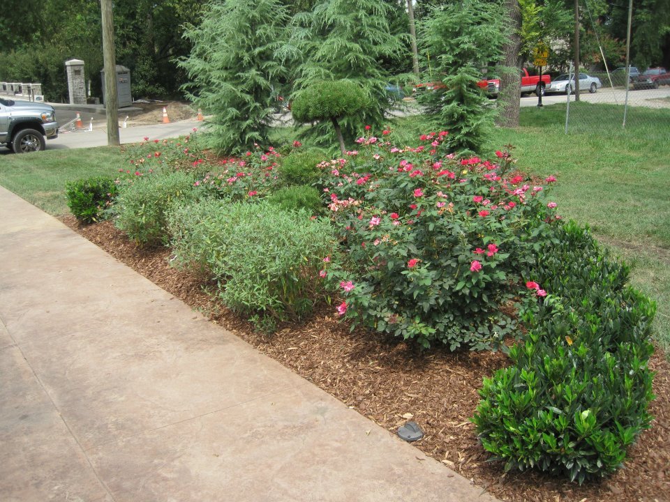 Photo of Grassland Horticulture