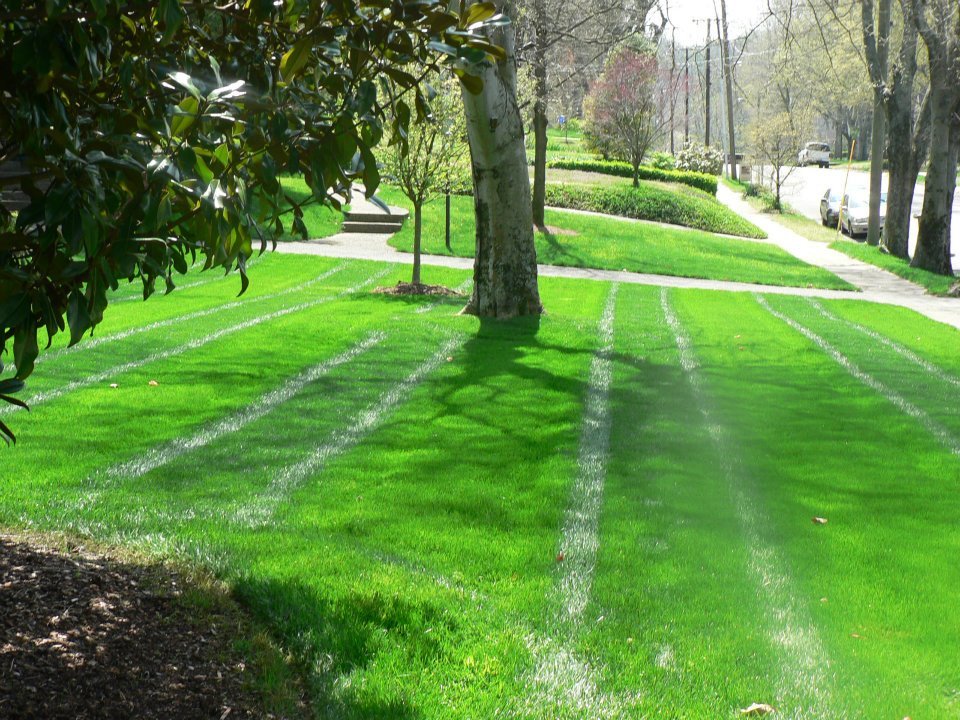 Photo of Grassland Horticulture