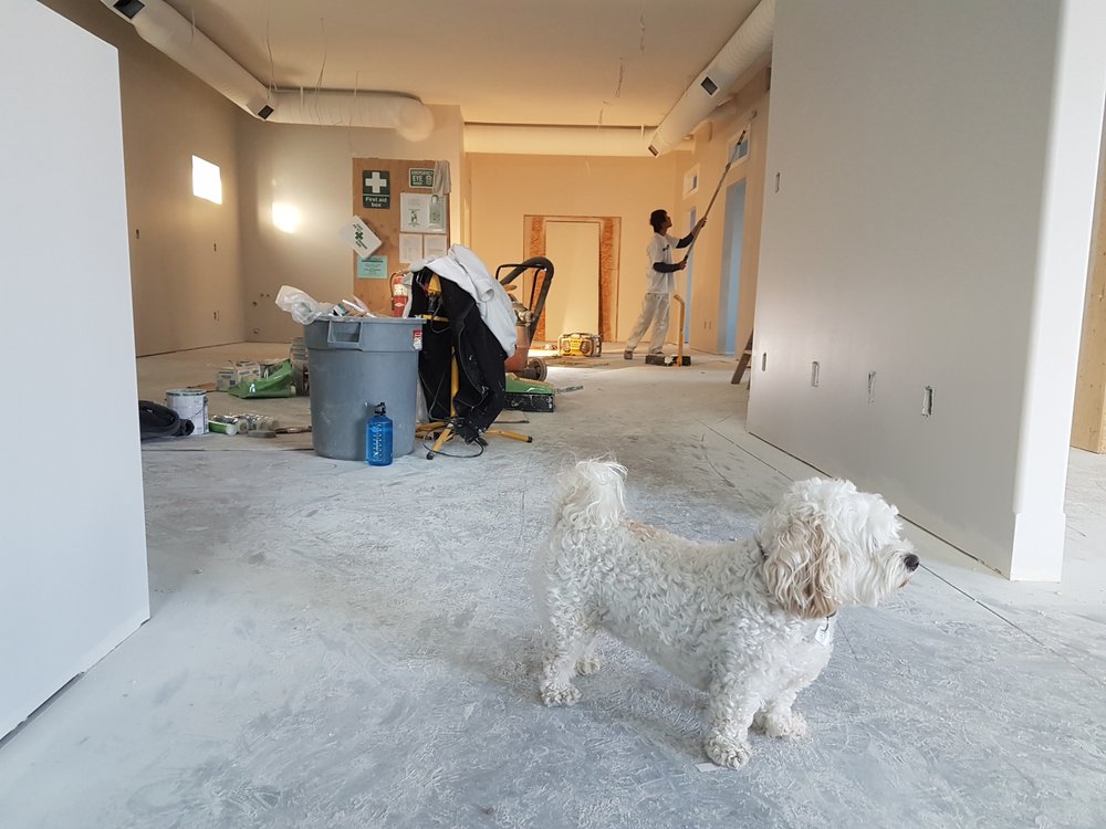 Photo of Admire The Hue Painting