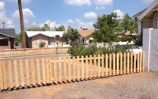 Photo of Cactus Fence