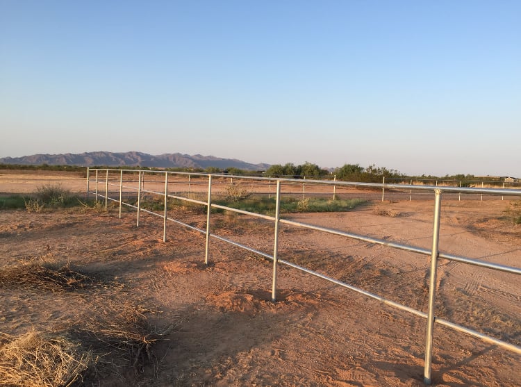 Photo of Cactus Fence