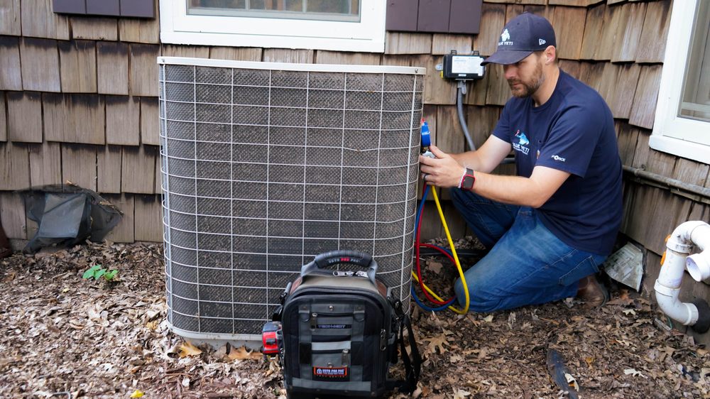 Photo of Blue Yeti Services