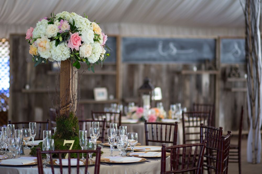 Photo of Everbound Wedding Photography