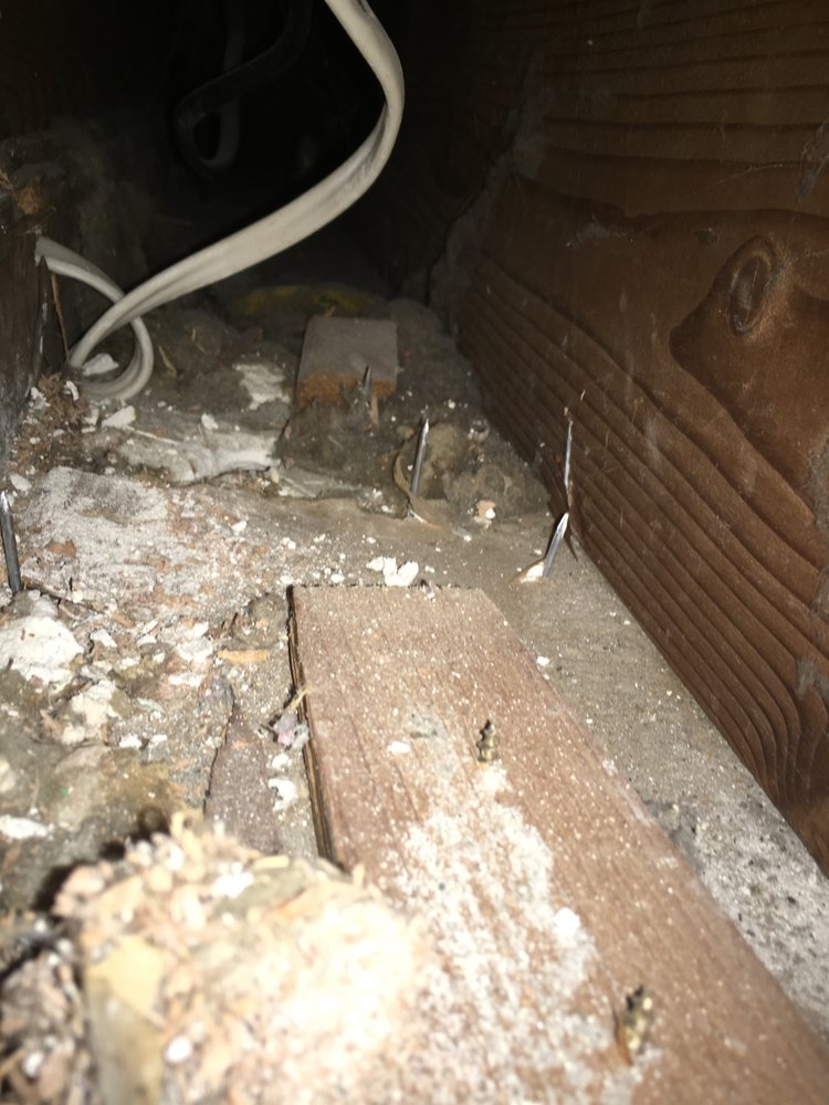 Photo of Speedy Air Duct Cleaning