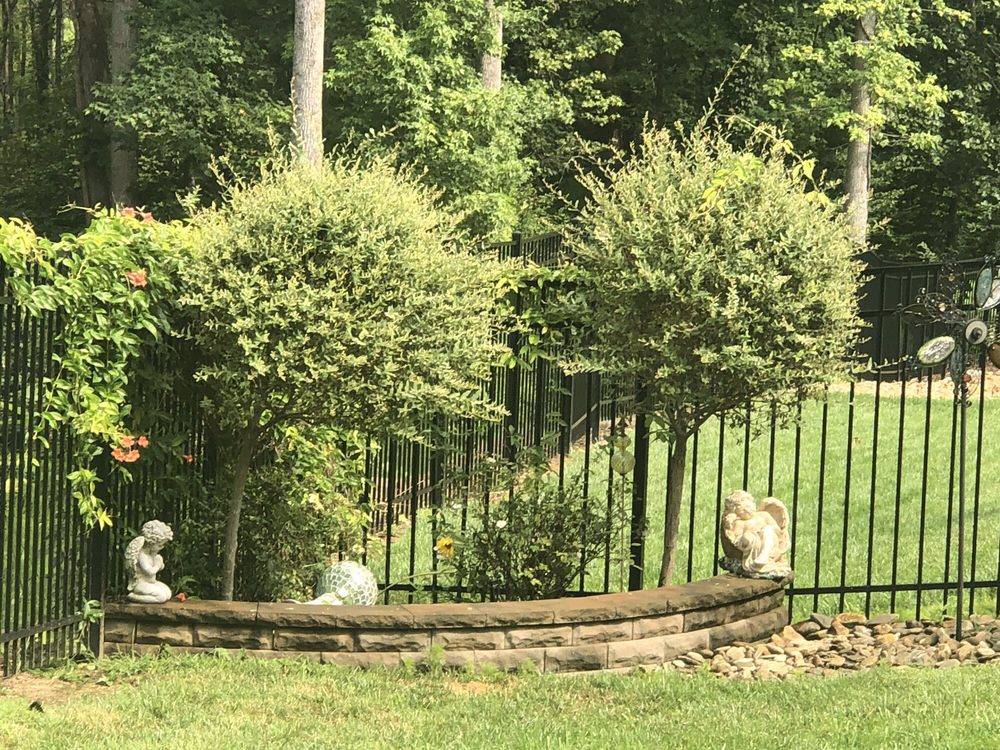Photo of Inclusive Outdoor Living