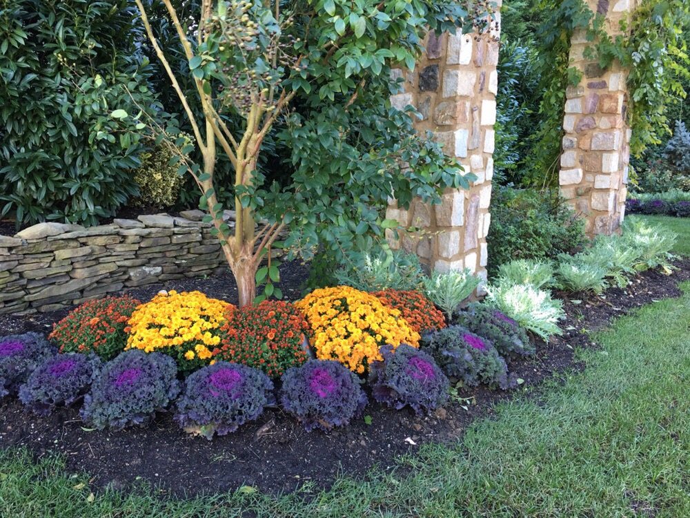 Photo of Terra Verde Landscape Architecture & Design