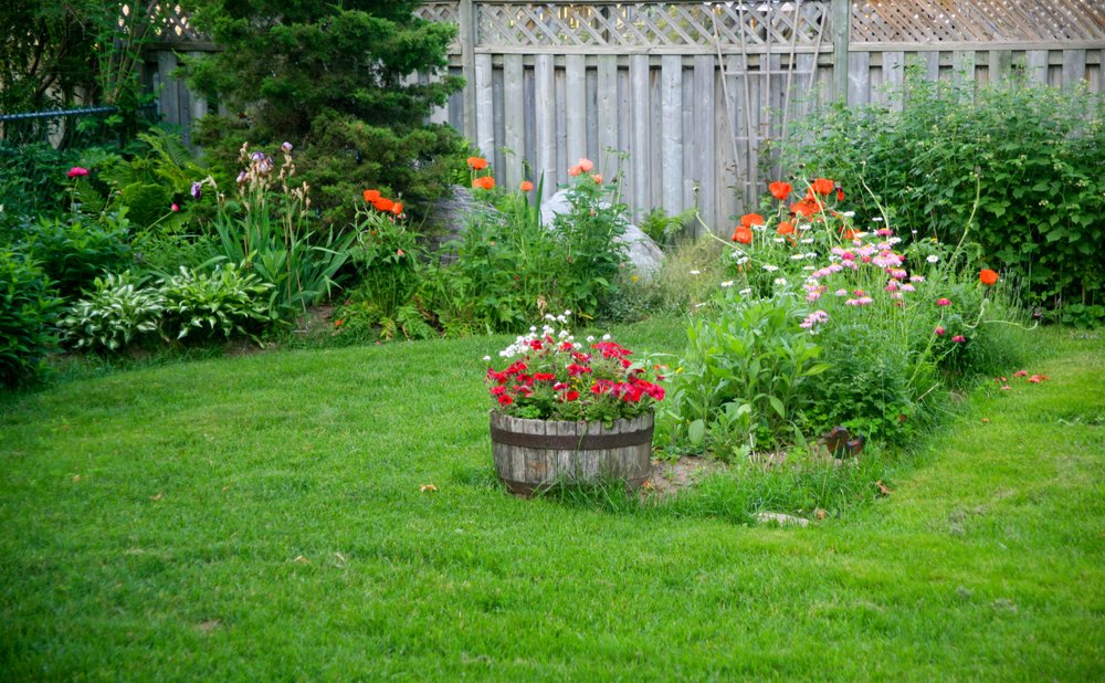 Photo of Blue Planet Lawn