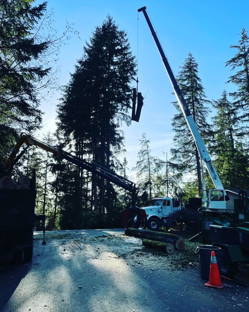 Photo of MTS Tree & Landscape