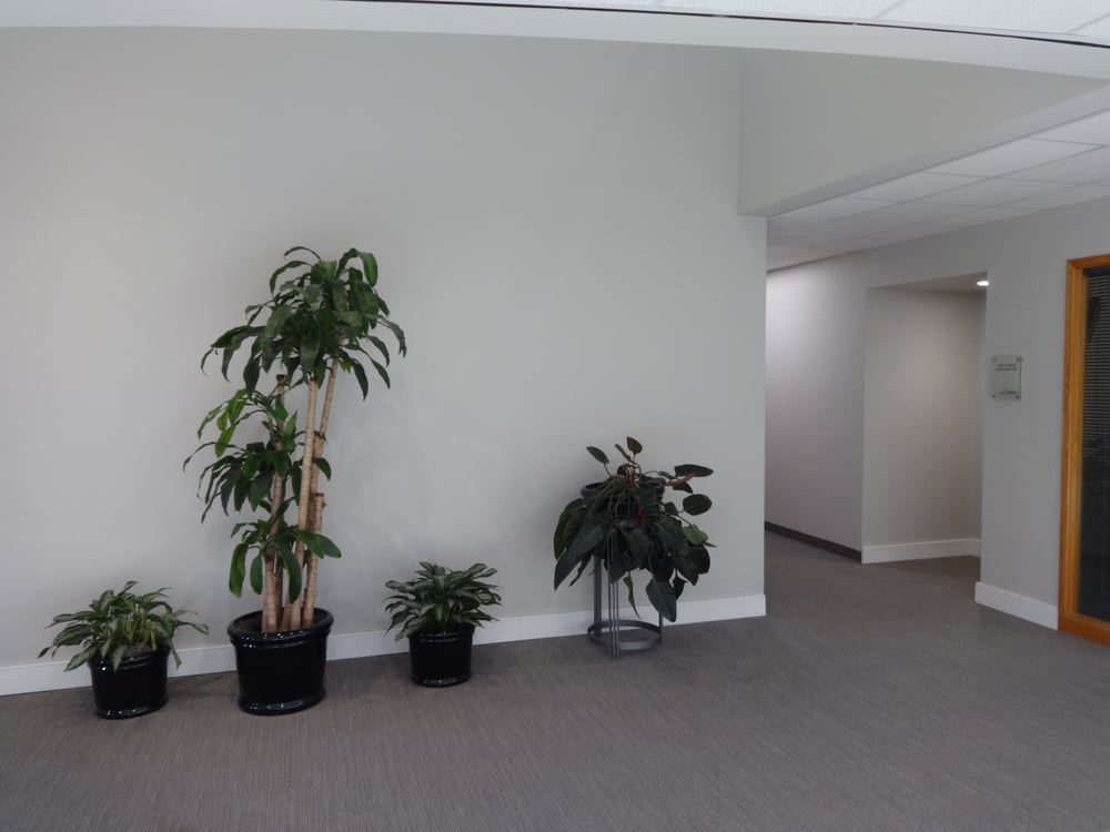 Photo of Allied Tax & Accounting Consultants