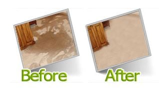 Photo of Carpet Cleaning - Irving
