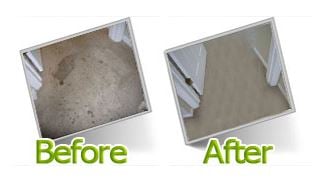 Photo of Carpet Cleaning - Irving