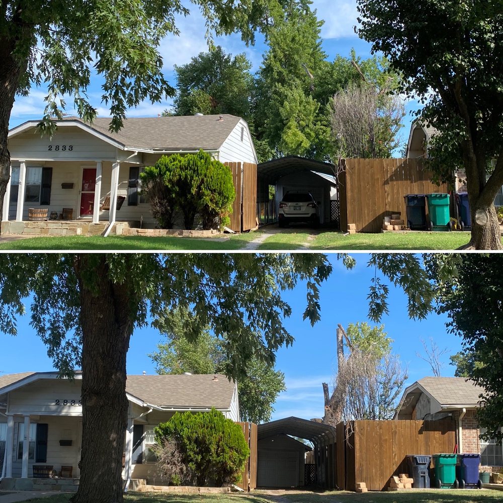 Photo of Tree Solutions