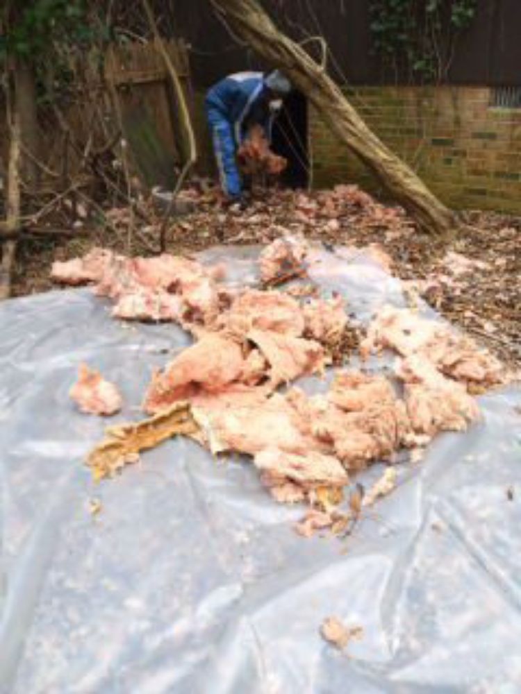 Photo of Discount Insulation & Restoration