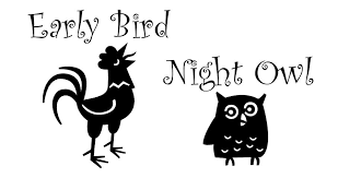 Photo of Early Bird Night Owl