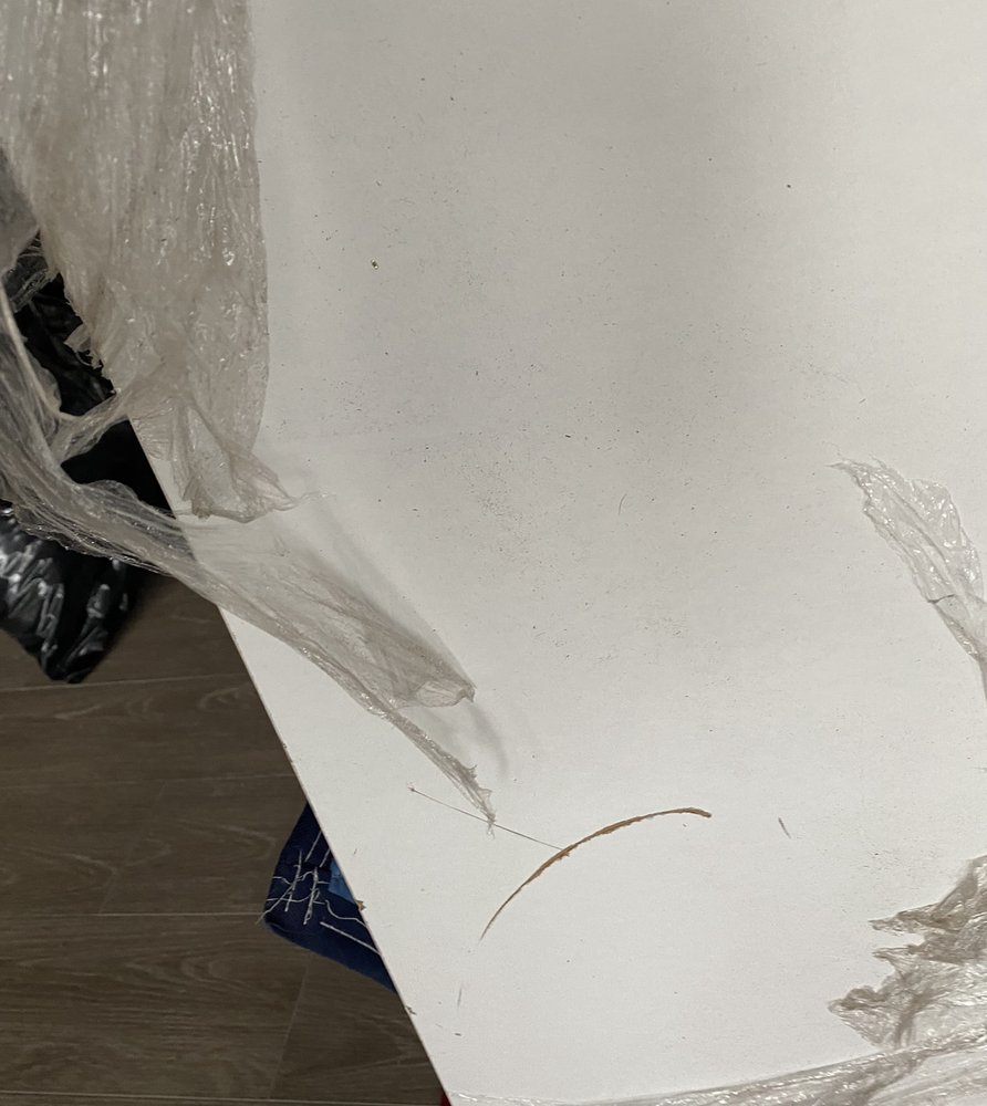 Photo of Bad Back Moving Company