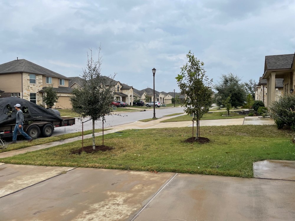 Photo of D & B Tree Company