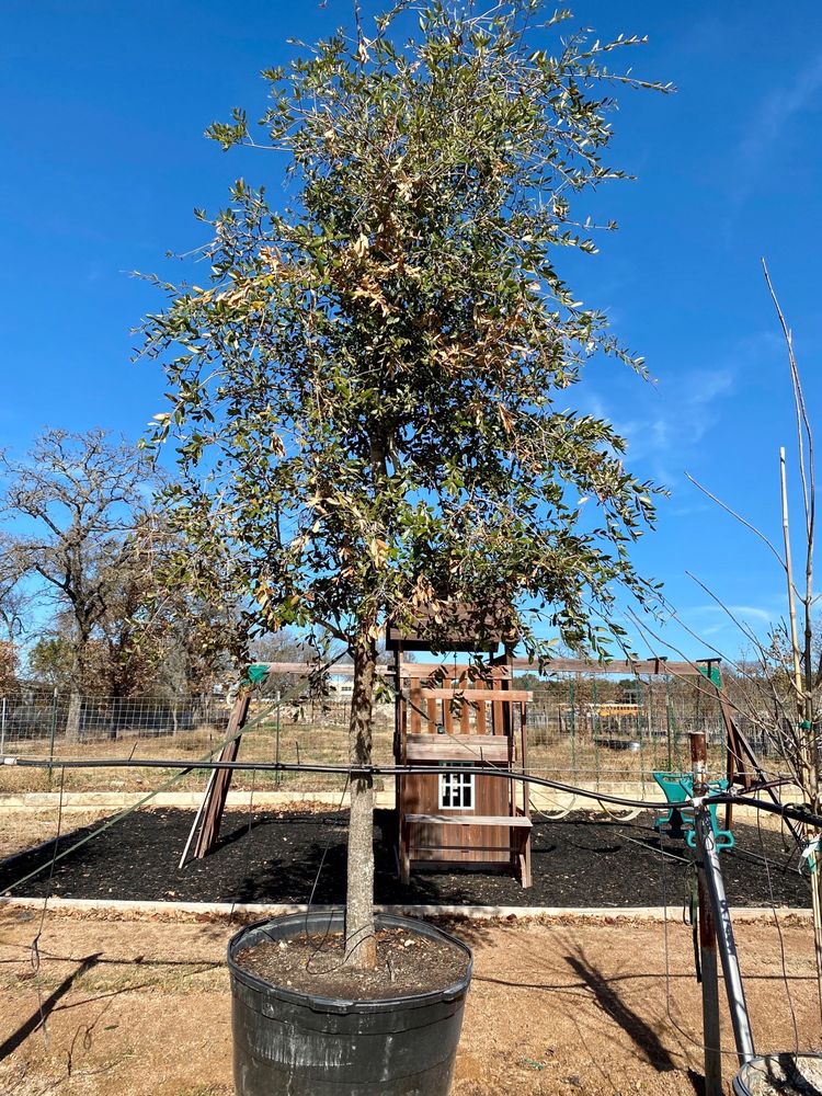 Photo of D & B Tree Company