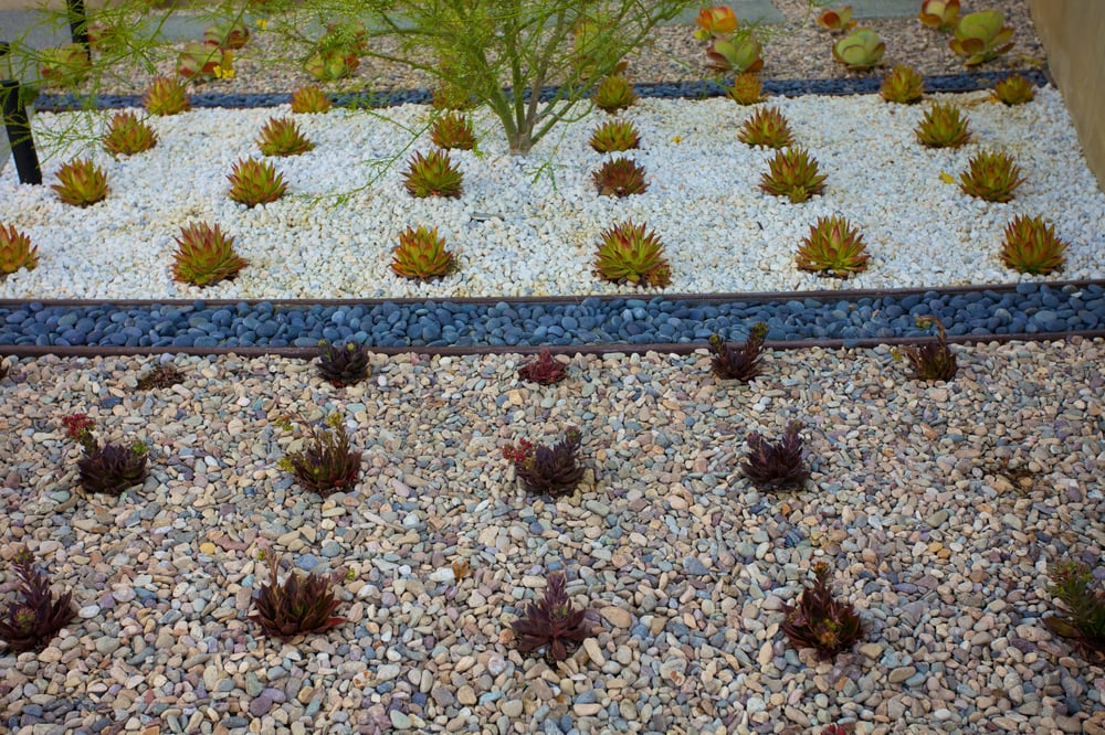 Photo of Cool Designs for Landscapes