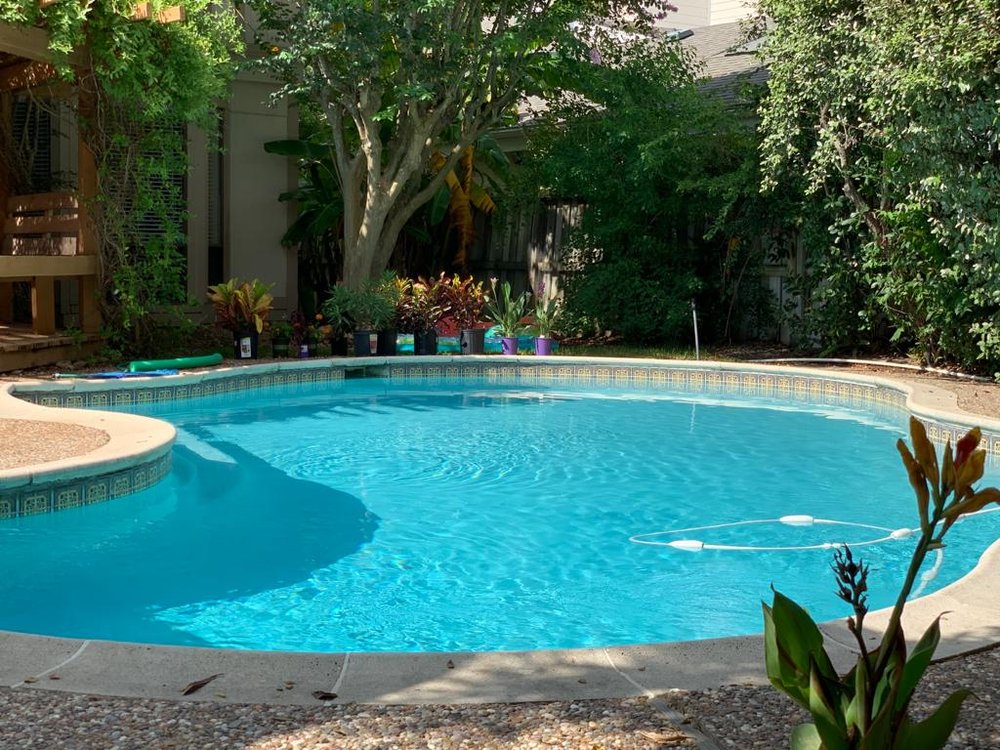 Photo of Clear Water Pools