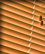 Photo of Clearview Window, Blind & Screen