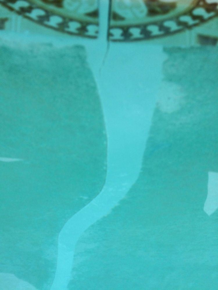 Photo of Underwater Unlimited