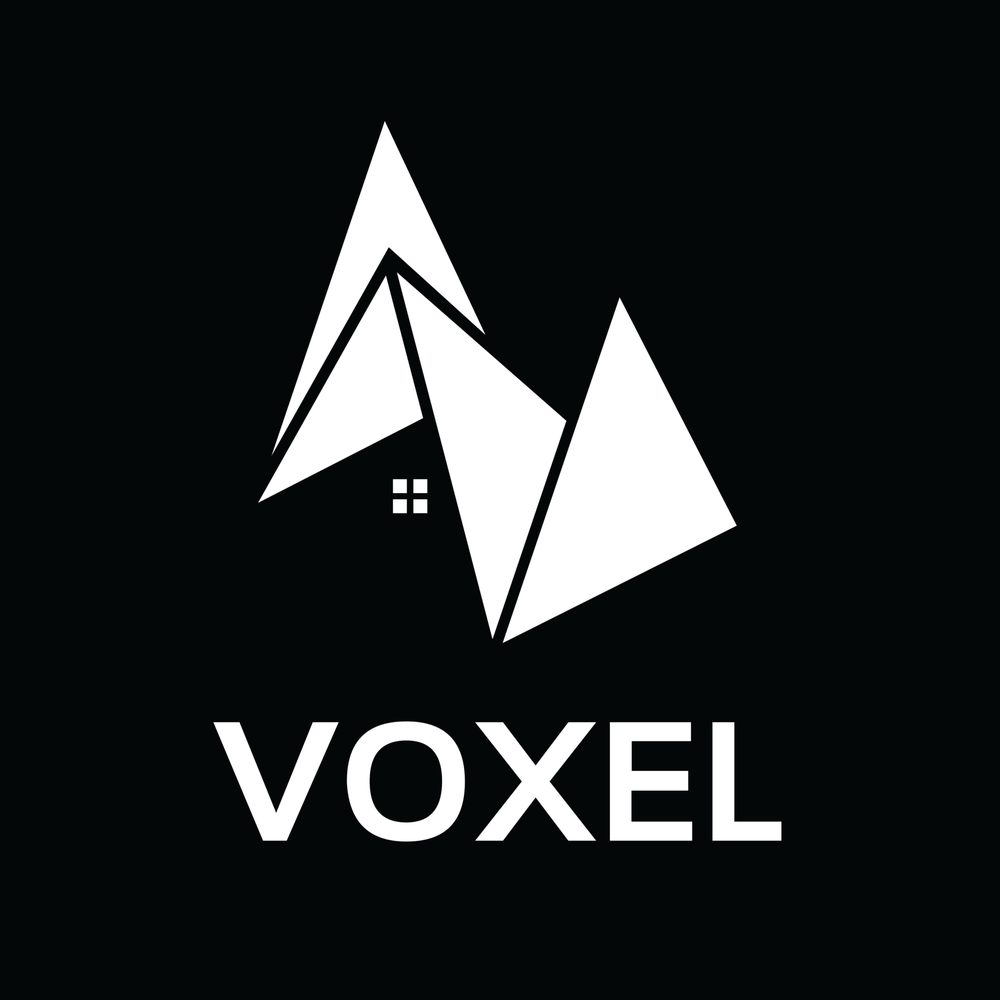 Photo of Voxel Worlds
