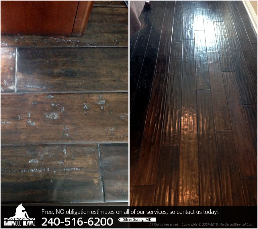Photo of Hardwood Revival of Silver Spring