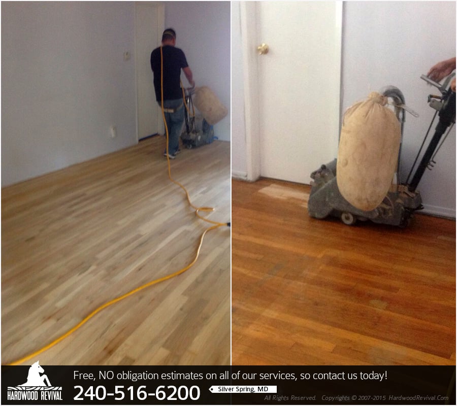 Photo of Hardwood Revival of Silver Spring