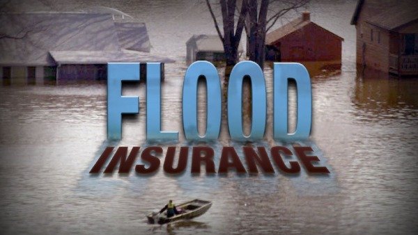 Photo of Premier Insurance Advisers