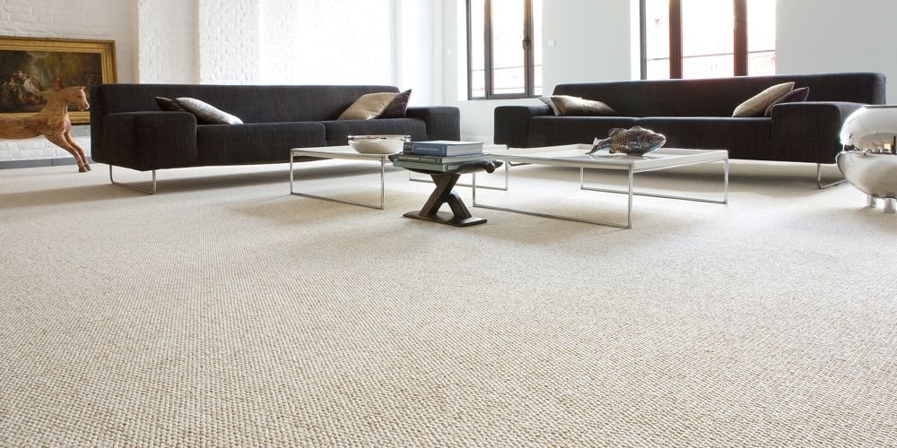 Photo of Mr.Steamer Carpet Cleaner