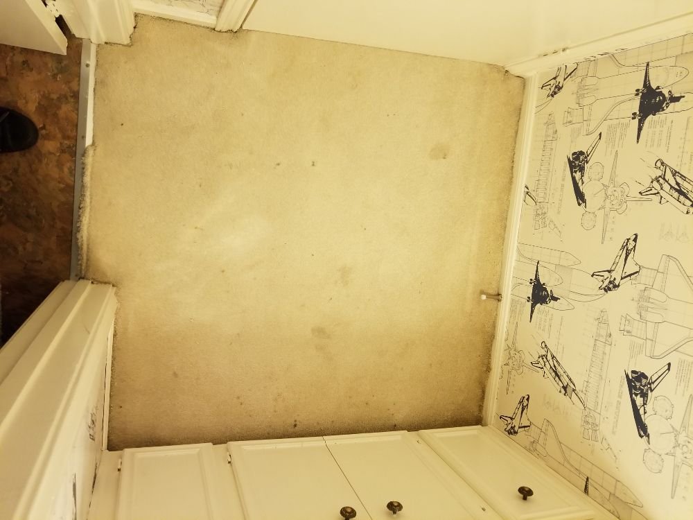 Photo of Mr.Steamer Carpet Cleaner