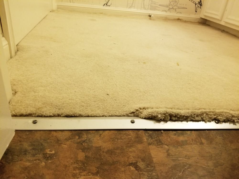 Photo of Mr.Steamer Carpet Cleaner