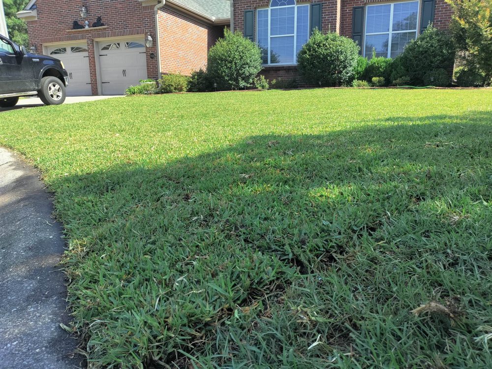 Photo of SANTI Landscaping