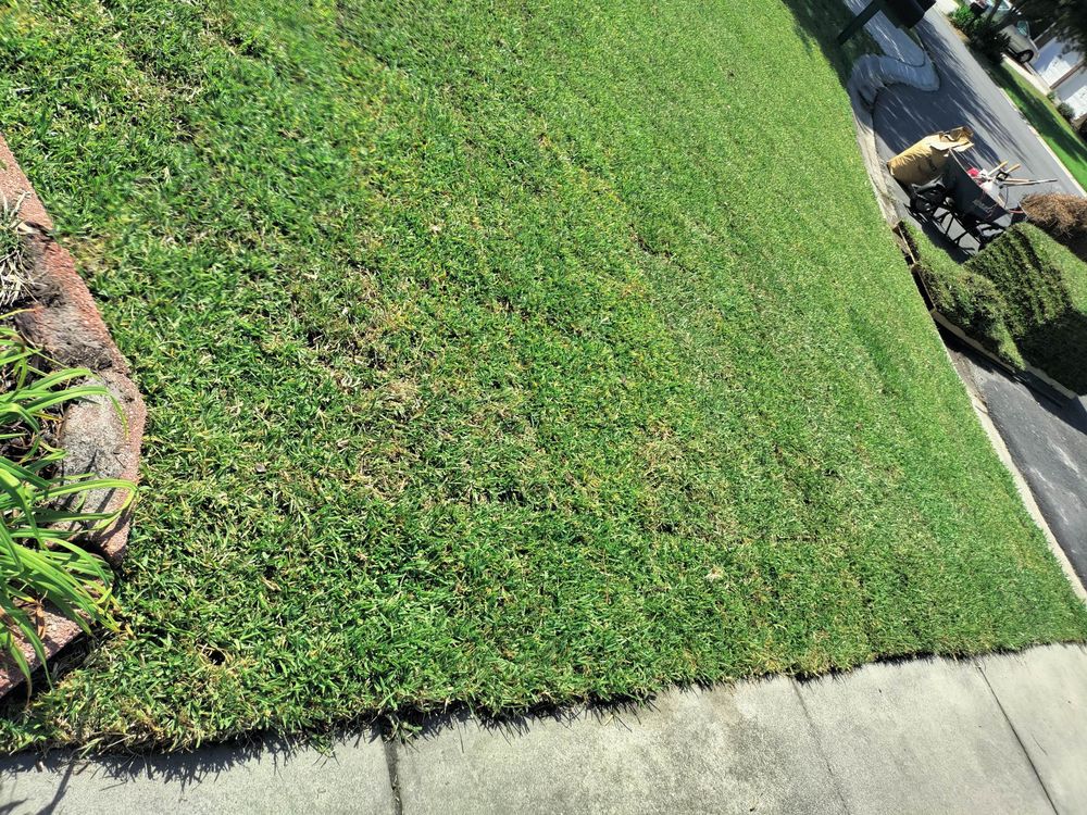 Photo of SANTI Landscaping