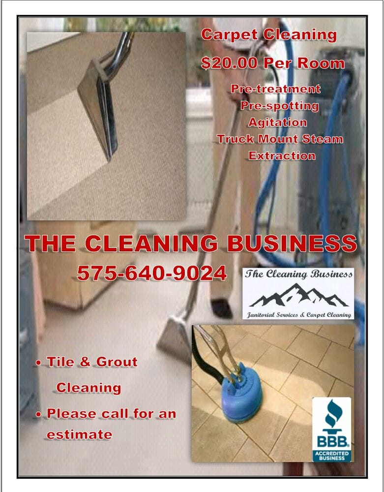 Photo of The Cleaning Business