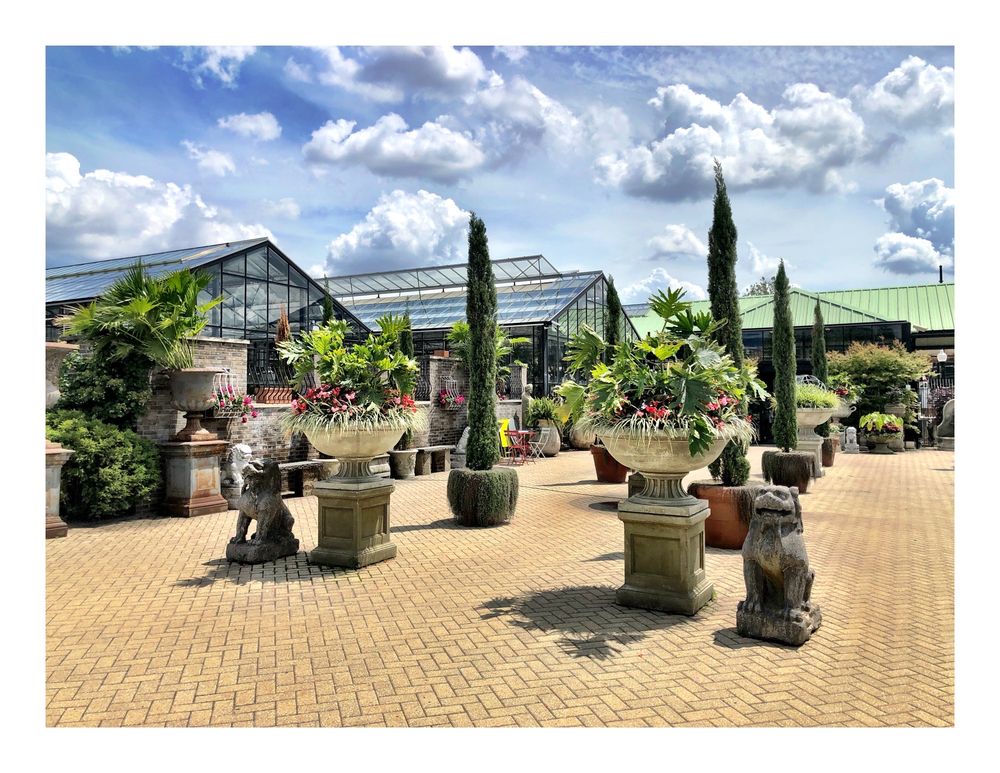 Photo of City Escape Garden & Design Center