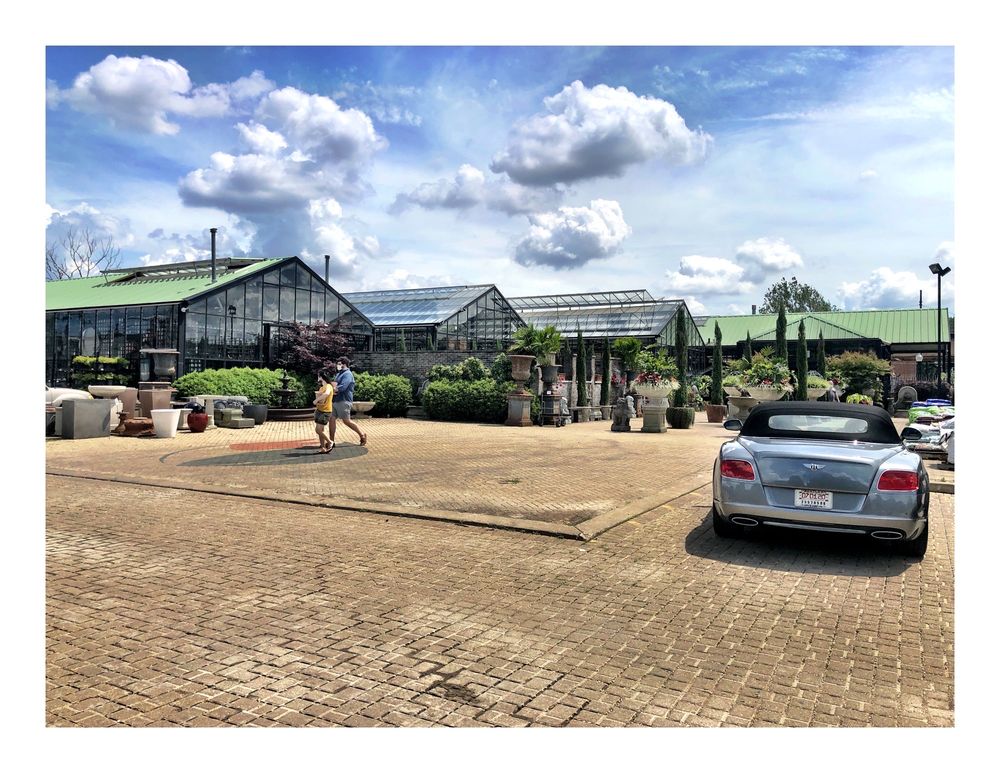 Photo of City Escape Garden & Design Center
