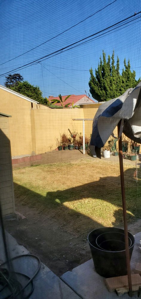 Photo of Lopez Gardening Services